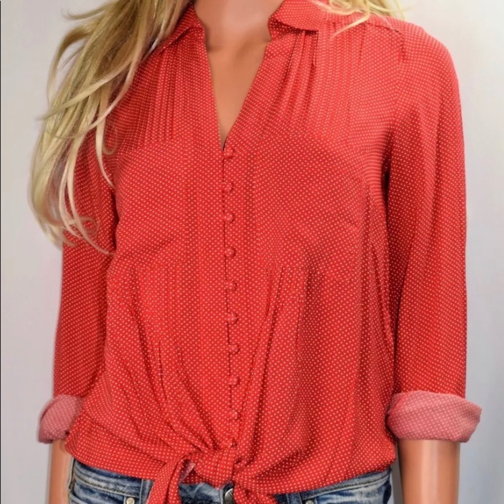 Anthropology Top